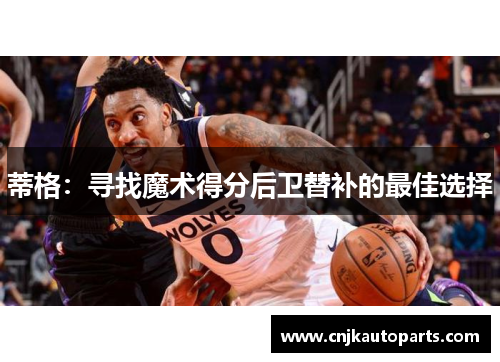 蒂格：寻找魔术得分后卫替补的最佳选择